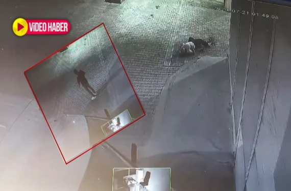 Şanlıurfa'da kan donduran cinayet:
