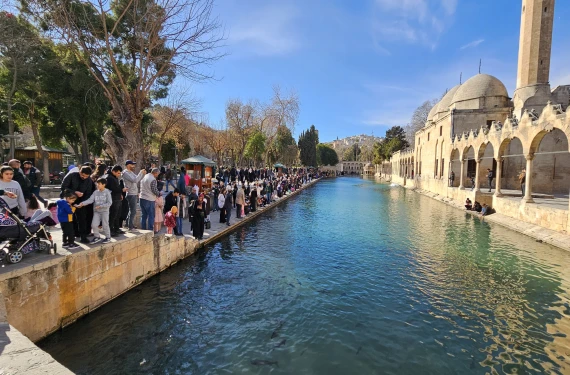 Akın akın geldiler