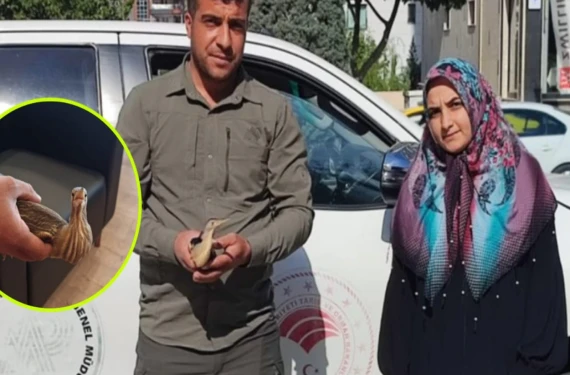 İşte özgürlüğüne kavuştuğu an