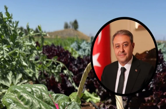 Vali devreye girdi...