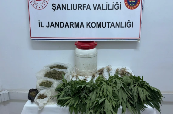 Kenevir ve esrar ele geçirildi