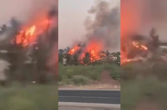 Rüzgarın etkisiyle büyümüştü...