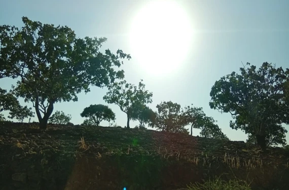 Kazı için tarih verildi