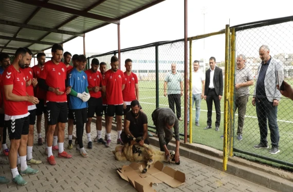 Yerde kurbanlık dilde dualar...