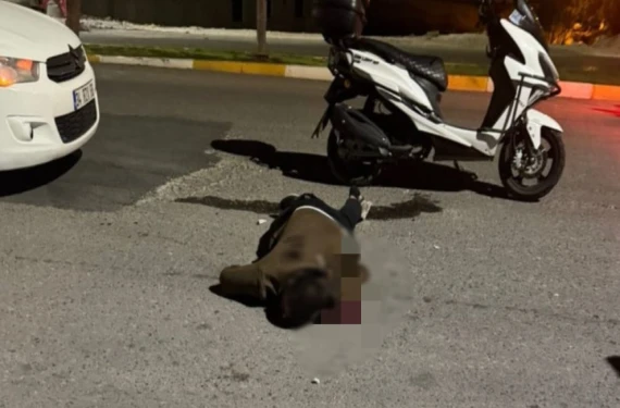 Sırtından bıçaklandı