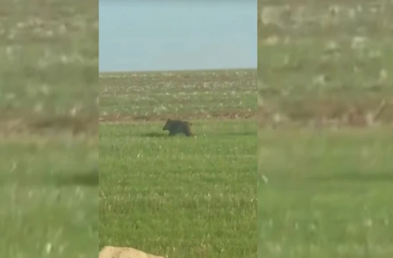 Görülme sıklığı artıyor