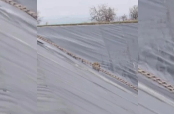 Koşarak uzaklaştı...