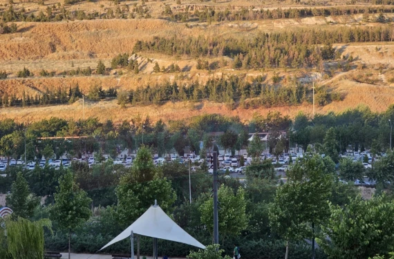 Bu ne kalabalık?