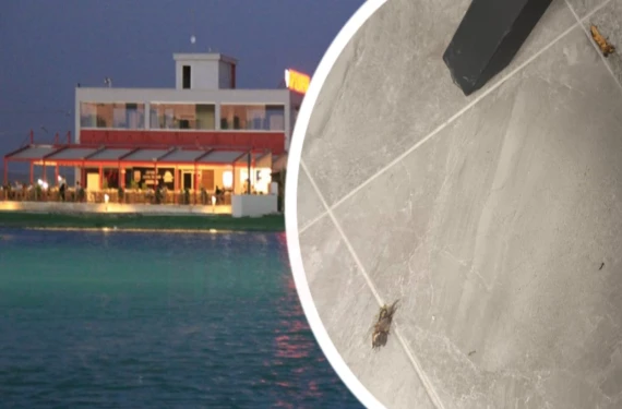 GAP SUKAY ilaçlama istiyor!