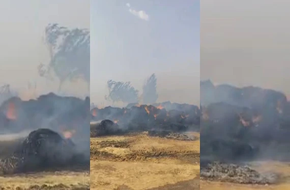 Endişe veren manzara...