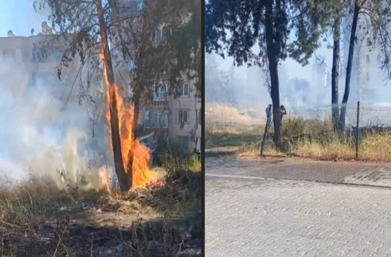 Şanlıurfa'da yangın: