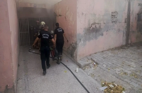 Yavru kediler için seferber oldular!