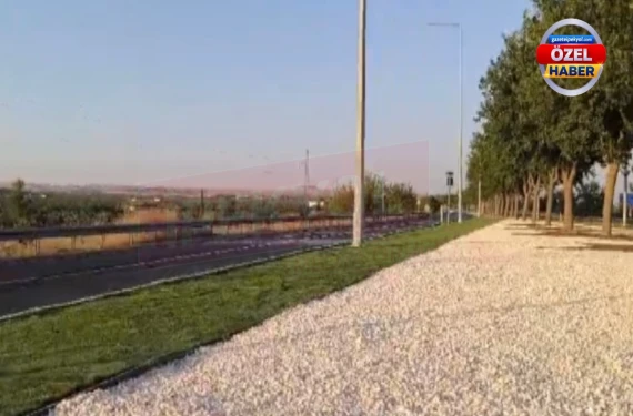Şanlıurfa'da görsel hizmet: