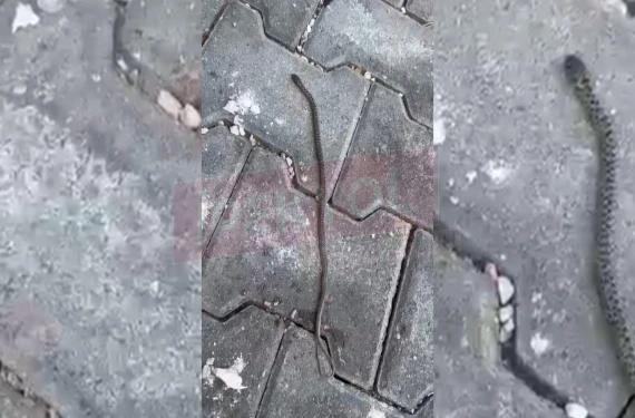 Şanlıurfa'da apartman sakinleri tedirgin: