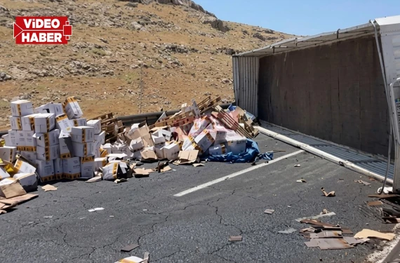 Yüzlerce yağ kolisi yola savruldu