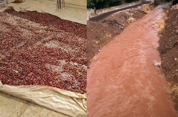 Şimdiden hasar ve zarar büyük