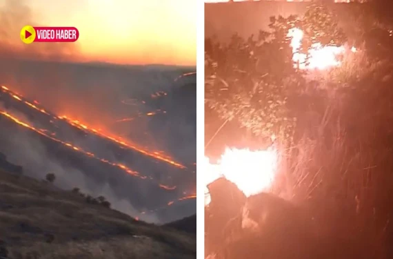 Onlarca fıstık ağacı ve dönümlerce ekili alan zarar gördü