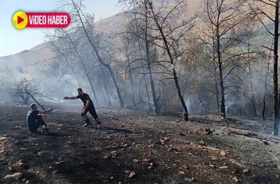 9 araçla müdahale edildi