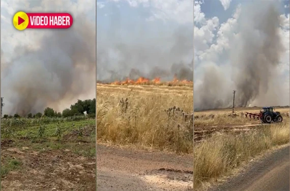 Şanlıurfa’da korkutan yangın: