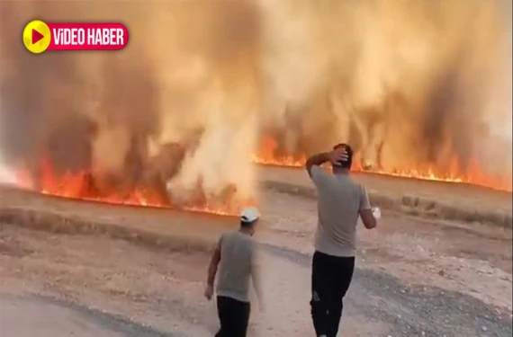 50 dönümlük buğday kül oldu