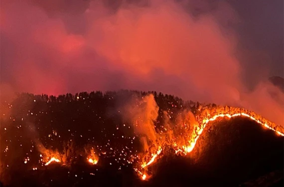 Türkiye’nin ciğerleri yanıyor: