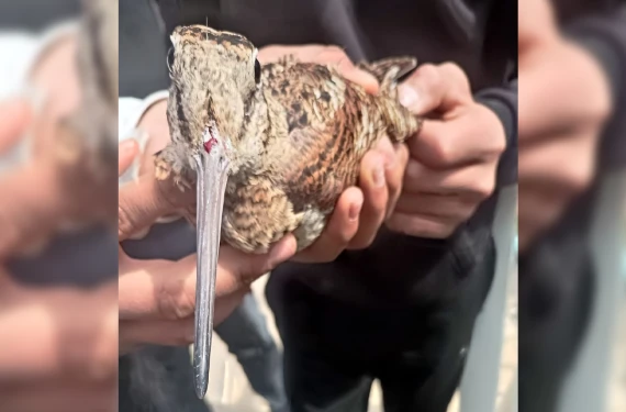 Öğrencilerden örnek davranış