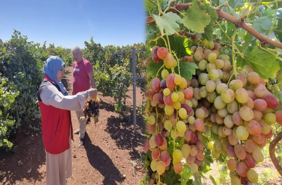 Uzmanlar yardımına koştu