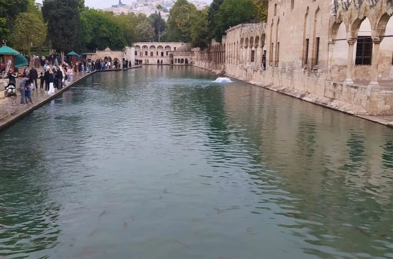 Dondurucu soğuklar kapıda!