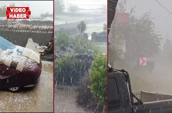 Şanlıurfa'da çiftçi perişan