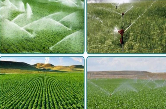Harran, Bozova ve Suruç'ta temizlik çalışması tamamlandı: