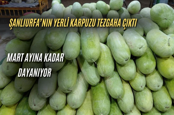 Dışı beyaz içi pembe