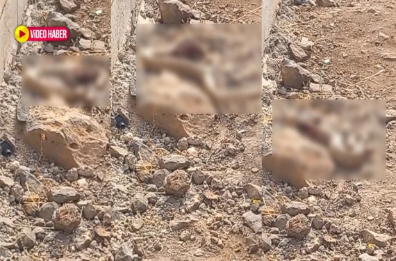 Mevsimler şaştı, o da şaşırdı!