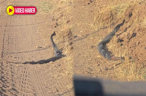 Telefonunu alıp kayda başladı