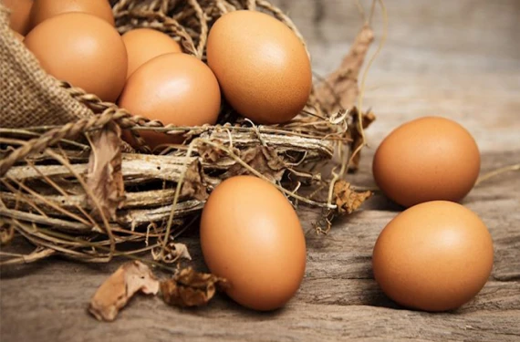 Artık üzerinde bu bilgi yazmayacak