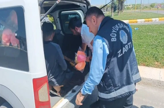 Şanlıurfa'da zabıta operasyonu: