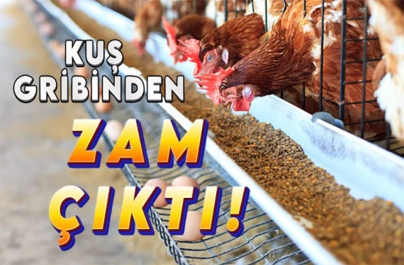 Şimdi taneyle…