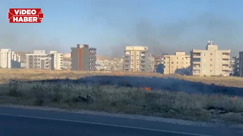Şanlıurfa'da korkutan yangın! Boş arazi alev alev yandı
