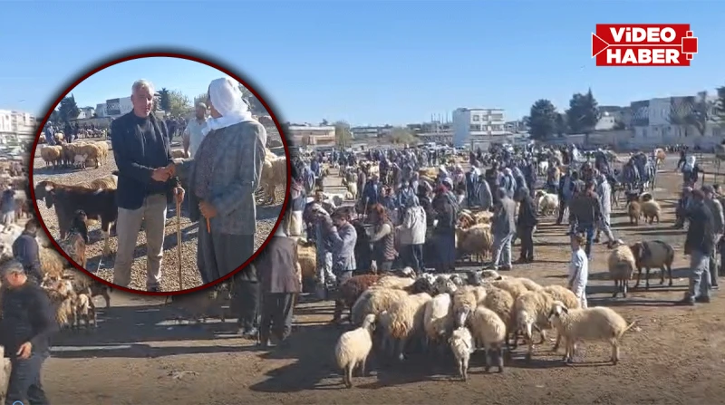 Viranşehir’de kurban telaşı başladı: Pazarda sıkı pazarlık yapılıyor