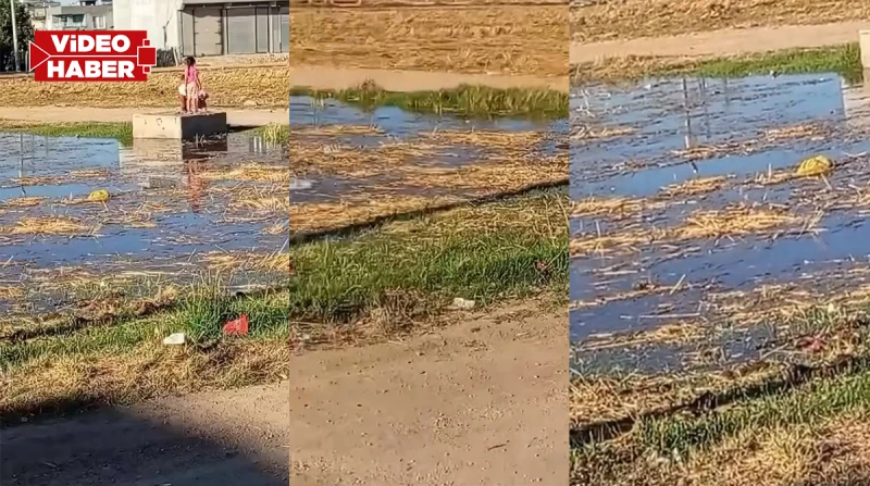 Şanlıurfa’da sokak su içinde kaldı!