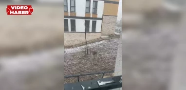 Şanlıurfa'da Maşuk'ta yağmur Aşuk'ta kar