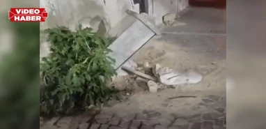 Şanlıurfa'da vatandaş gazeteyle sesini duyurmayı başardı ama...
