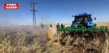 Şanlıurfa’da elektrik telleri koptu: 10 dönüm buğday kül oldu
