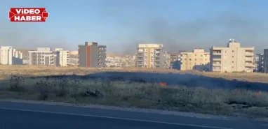 Şanlıurfa'da korkutan yangın! Boş arazi alev alev yandı
