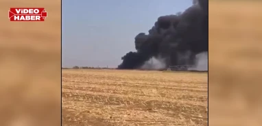 Ceylanpınar TİGEM’DE yangın: Gökyüzünü siyah dumanlar kapladı