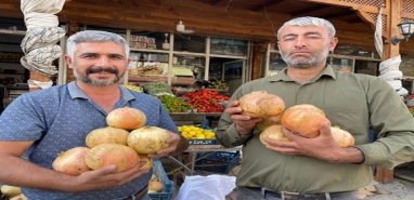 Suruç’ta nar üreticilerinin yüzü bu yıl gülmedi