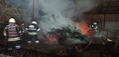 Şanlıurfa’da hayvan çiftliğinde korkutan yangın! Tonlarca saman kül oldu…