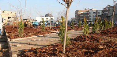 Kito Deresinde ağaçlandırma çalışmaları başladı