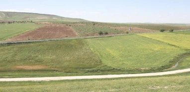 Tarımsal destek ödemeleri çiftçilerin hesaplarına aktarılıyor