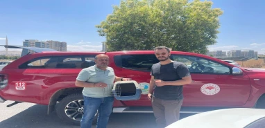 Urfa’da bitkin halde bulunan leş kargaları tedaviye alındı