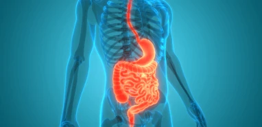 Gastroenteroloji nedir?
